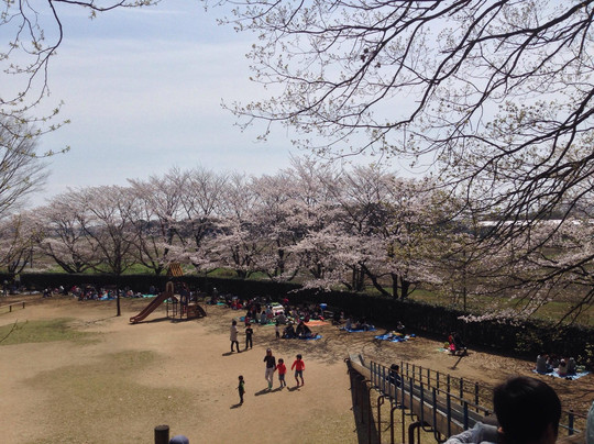 宫代町旅游景点-Uchimaki Park