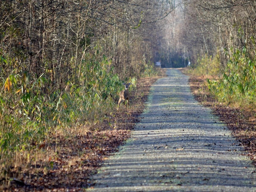Columbia旅游攻略图片