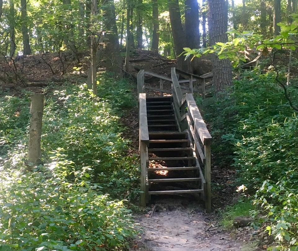 Matawan旅游攻略图片