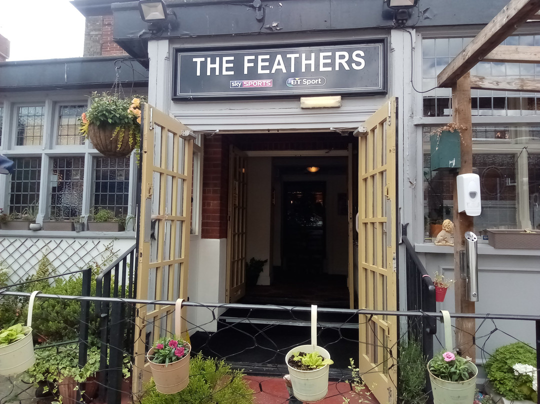 The Feathers