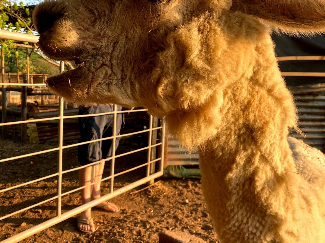 Dusk to Dawn Farm Guesthouse主图