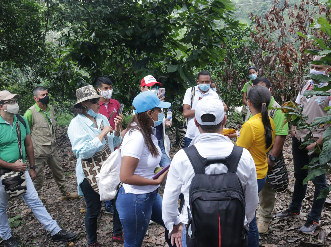 Manaure旅游攻略图片