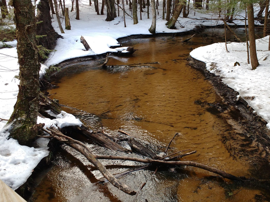 McCune Nature Preserve景点图片