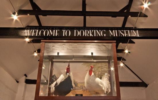 Dorking Museum and Heritage Centre景点图片