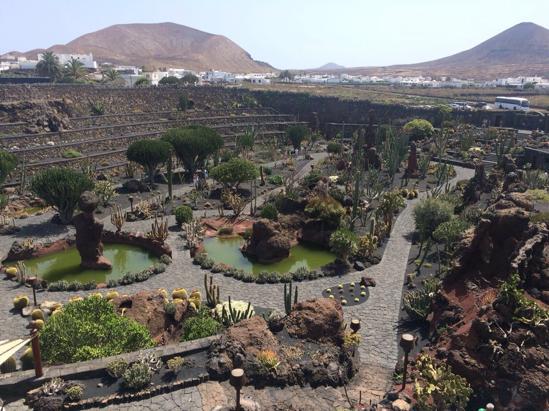 兰萨罗特旅游景点-Jardin de Cactus
