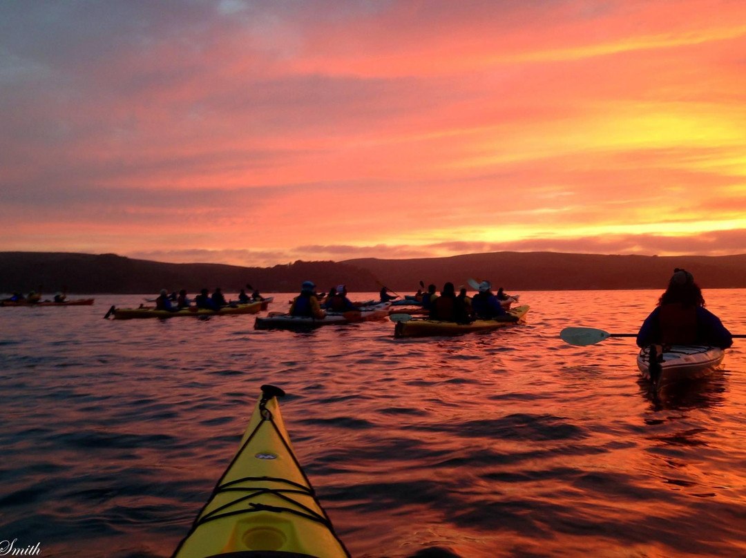 Blue Waters Kayaking-Point Reyes Station必去景点