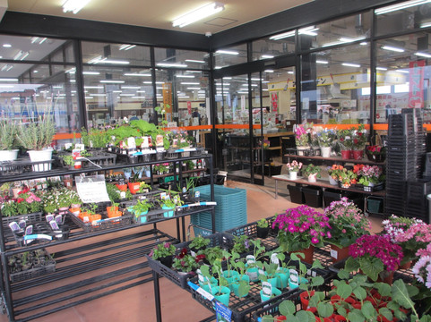 JA Green Omi Kitekana