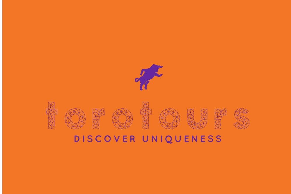 Toro Tours
