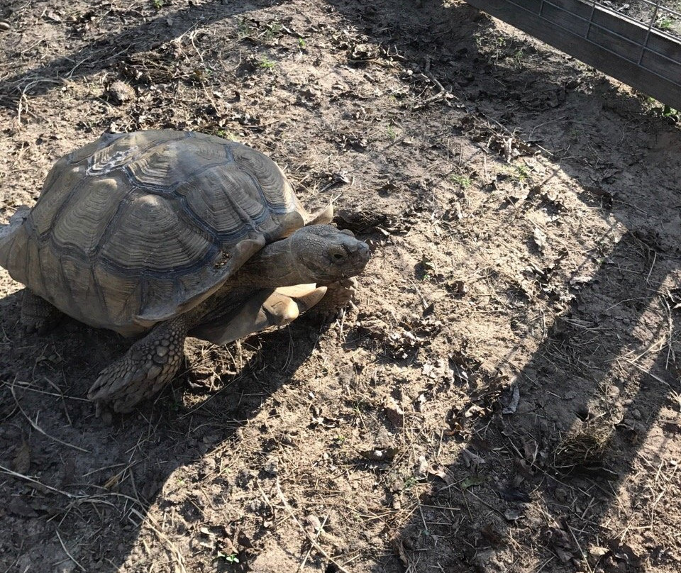 Aunt Louise's Farm景点图片