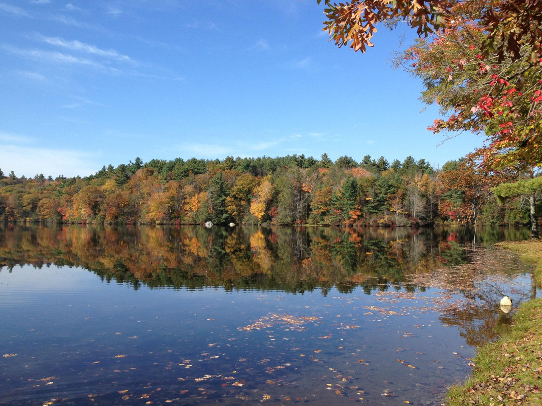 托灵顿旅游景点-Burr Pond State Park