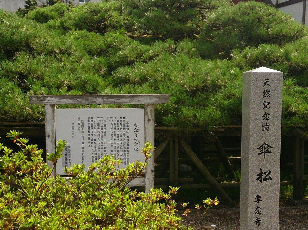 Sennenji Temple景点图片