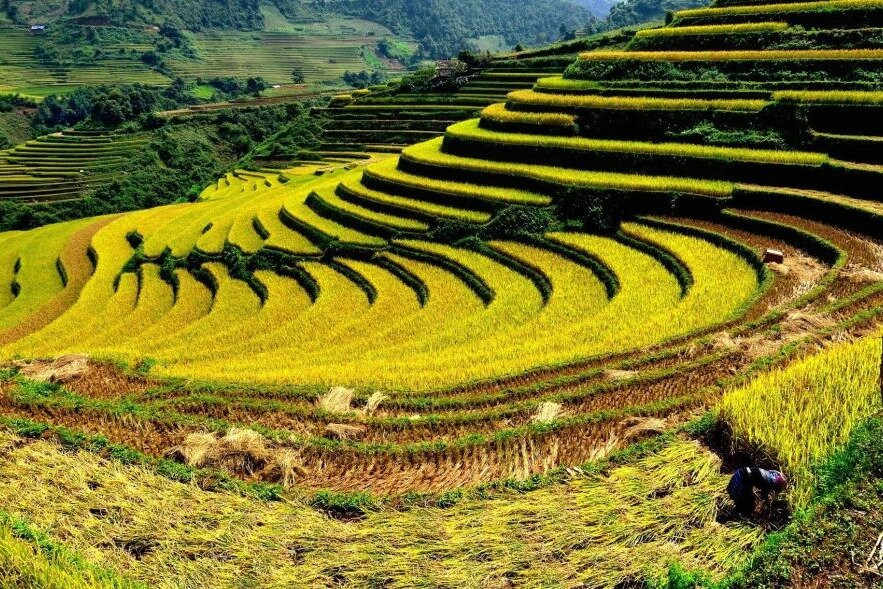 Go Asia Travel-Long Bien必去景点