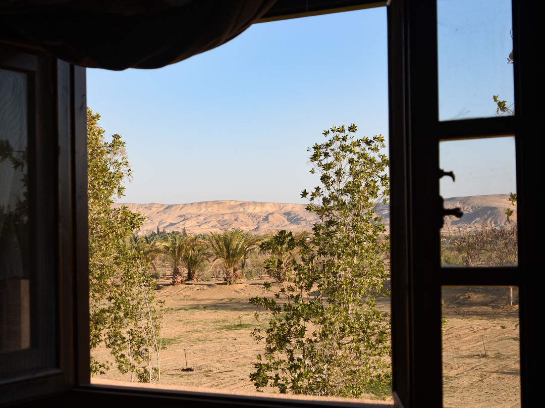 Tzila Bahariya