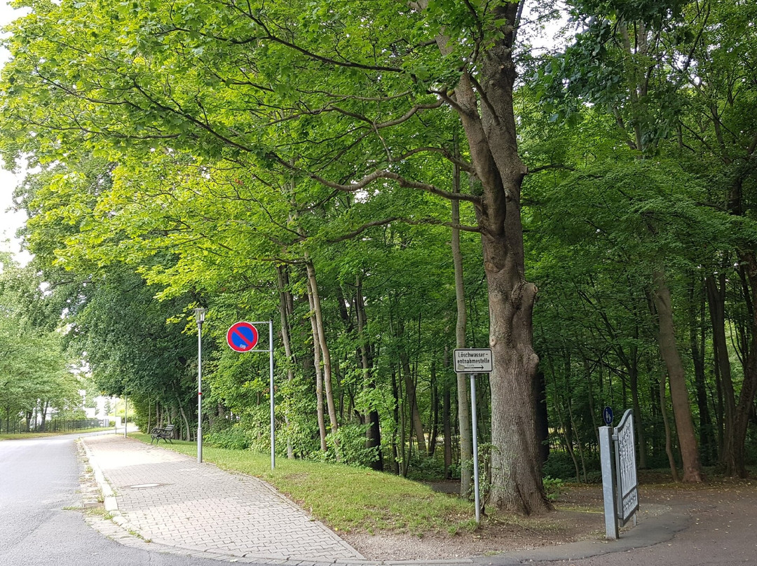 Terrainkurwegenetz Bad Lausick