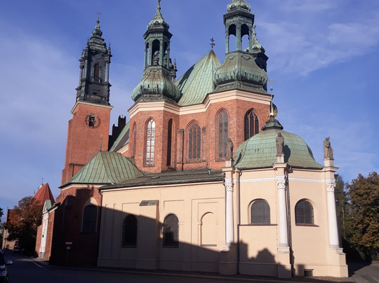 Raccoon Tours Poznań