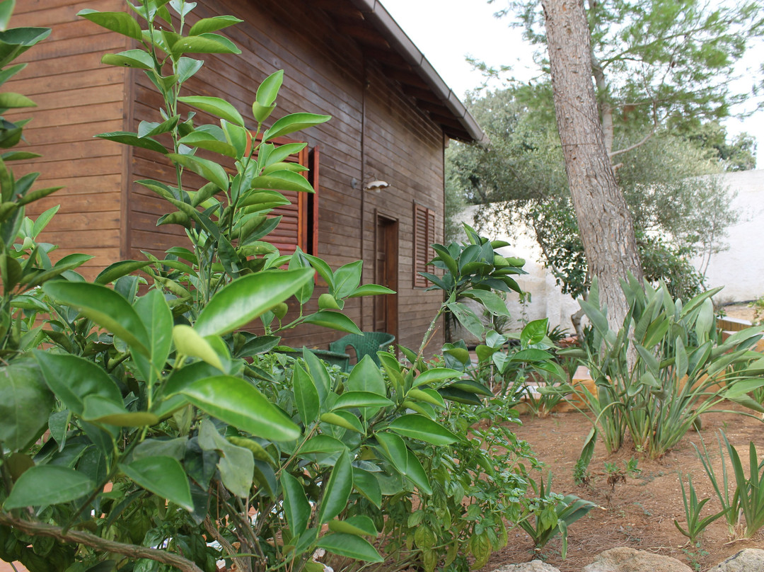 Villa Rosemary主图