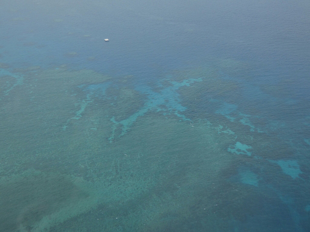 Cairns Scenics景点图片