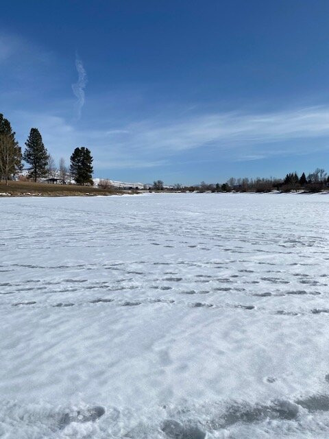 Frenchtown Pond State Park景点图片