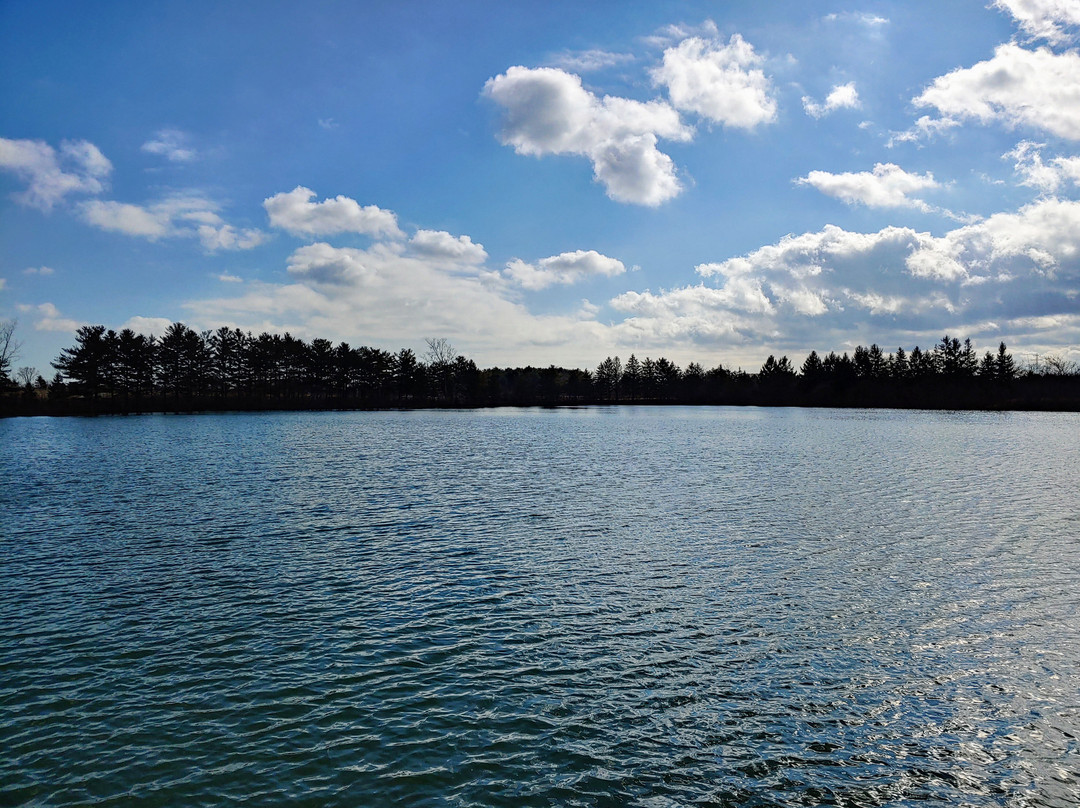 Farrell House Lodge主图