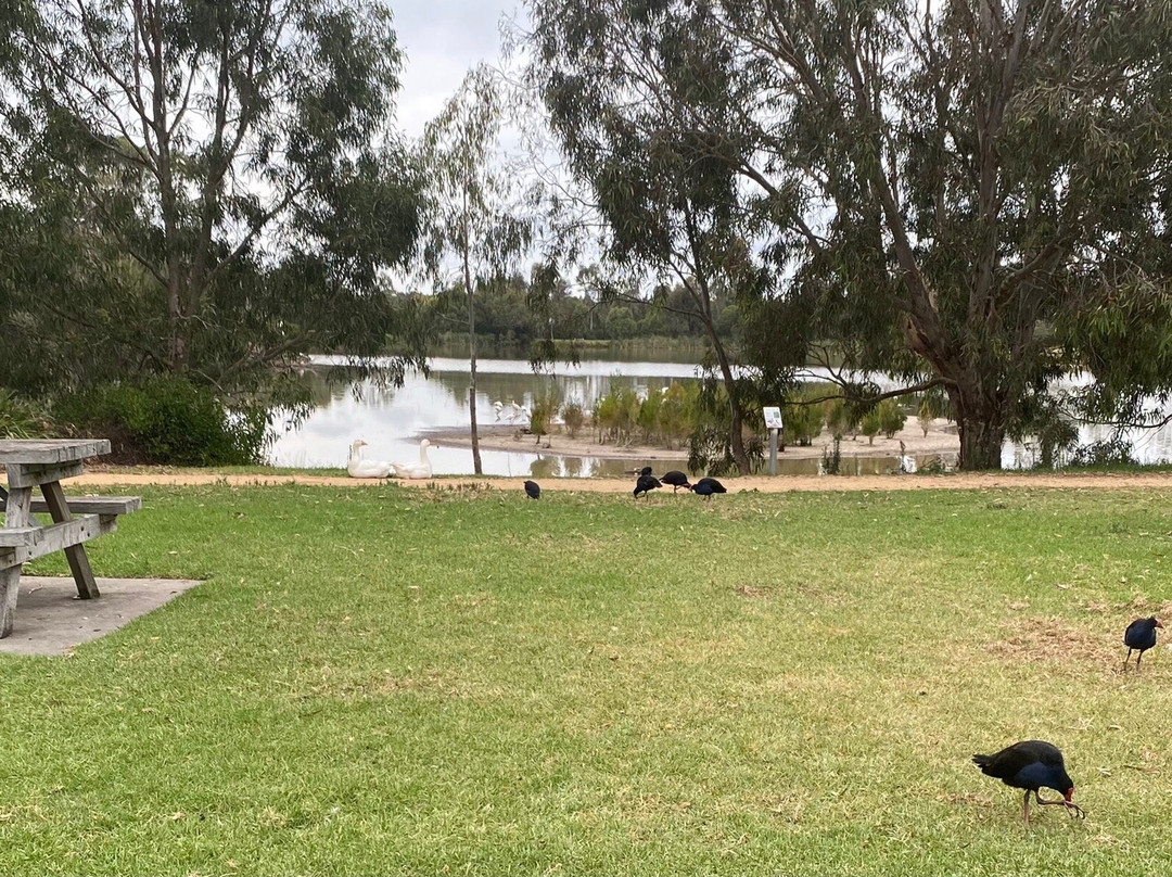 Lake Guthridge-塞尔必去景点