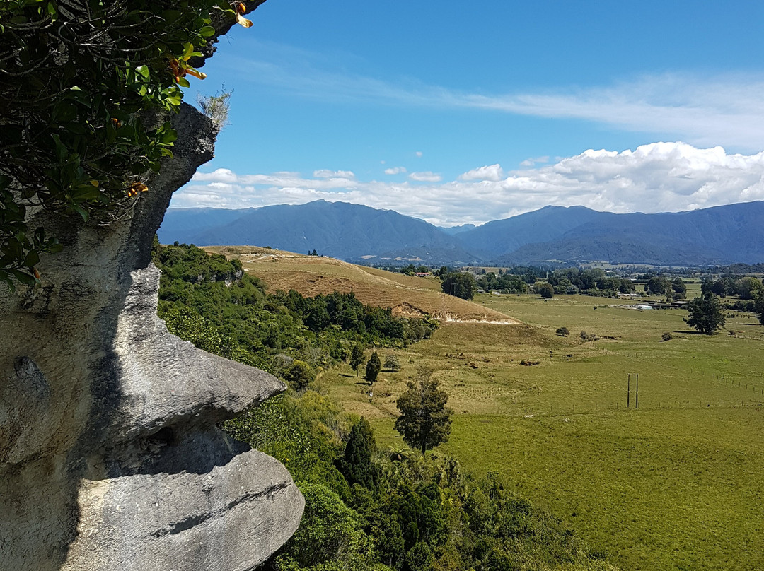 The Grove Scenic Reserve景点图片