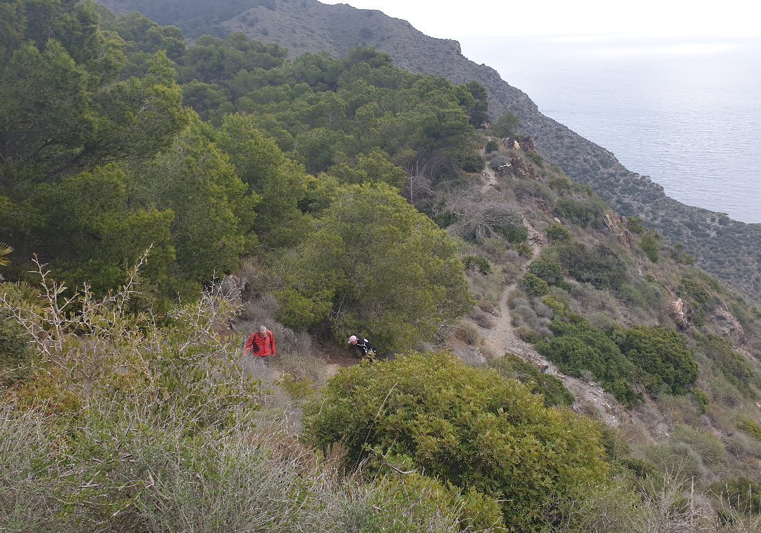 Sierra De Atamaría景点图片