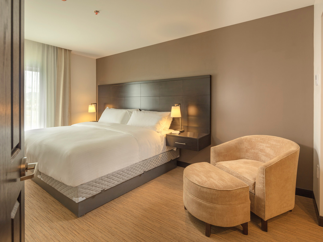 Staybridge Suites Saltillo By IHG主图