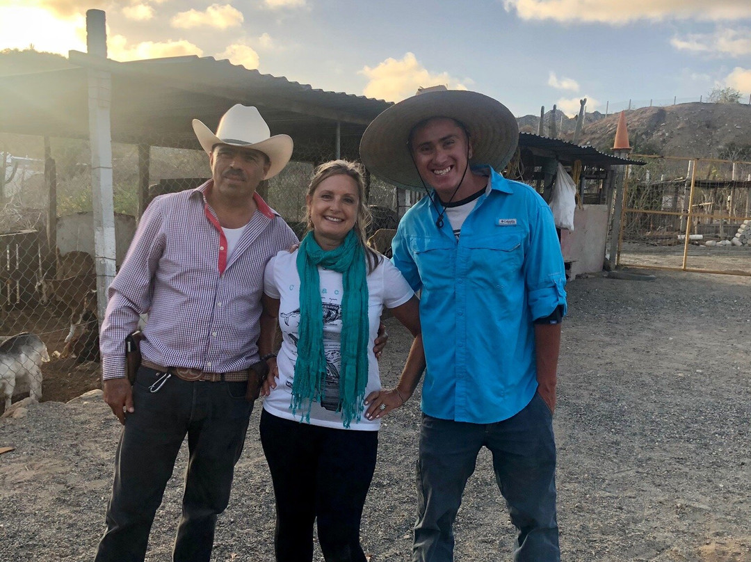 Dharma Expeditions-卡波圣卢卡斯必去景点