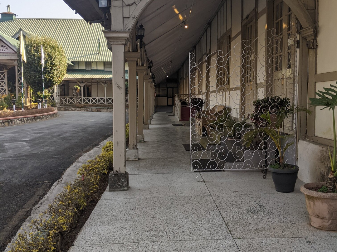 Pinewood Hotel主图