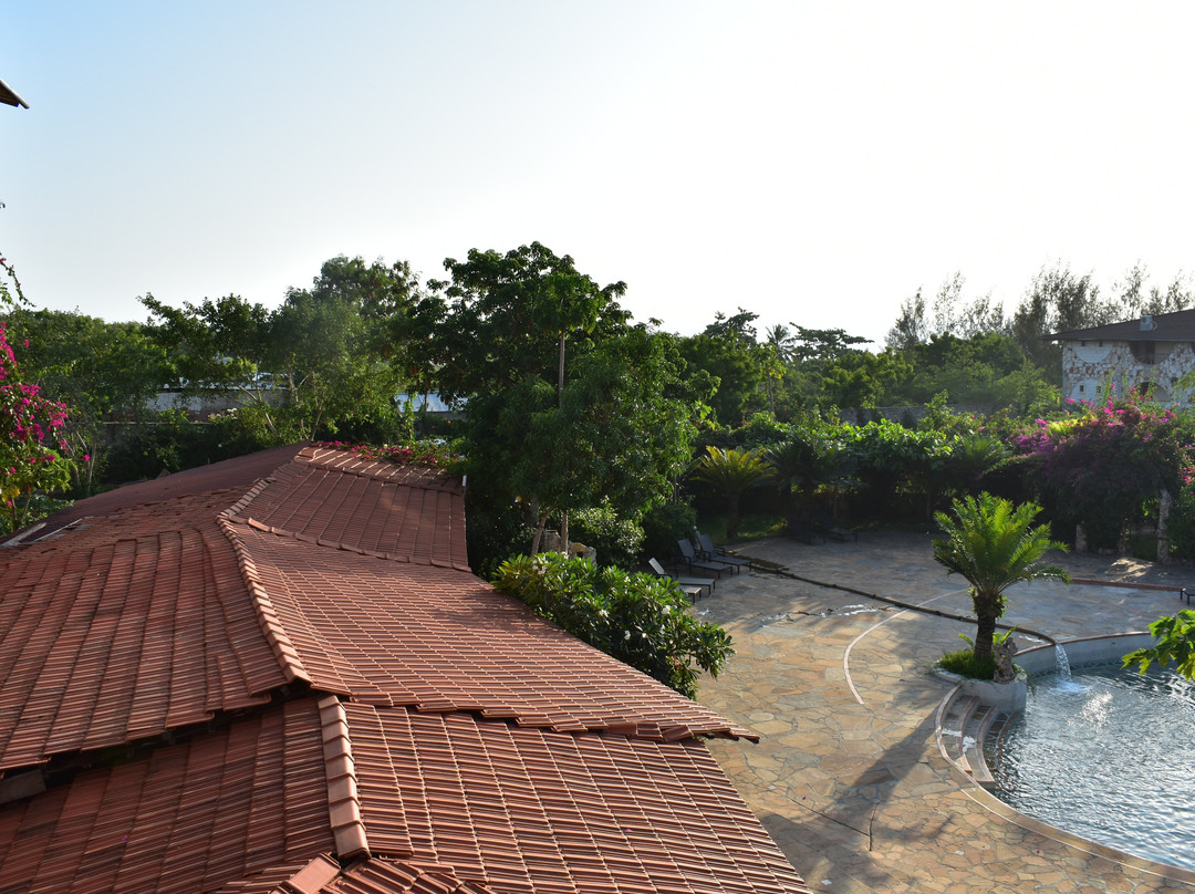 Palumbo Kendwa主图