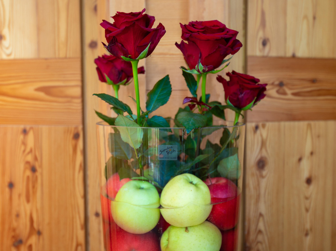 Belvedere B & B主图