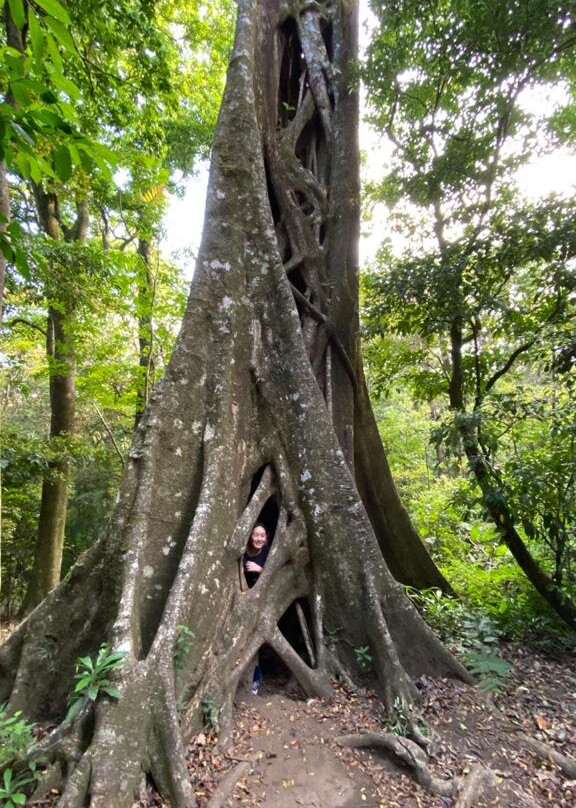 Valle Escondido - Nature Reserve Hotel & Farm主图