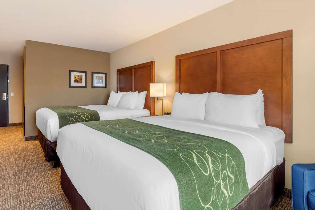 Comfort Inn & Suites Schenectady - Scotia主图