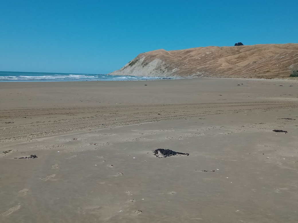 Te paerahi beach景点图片