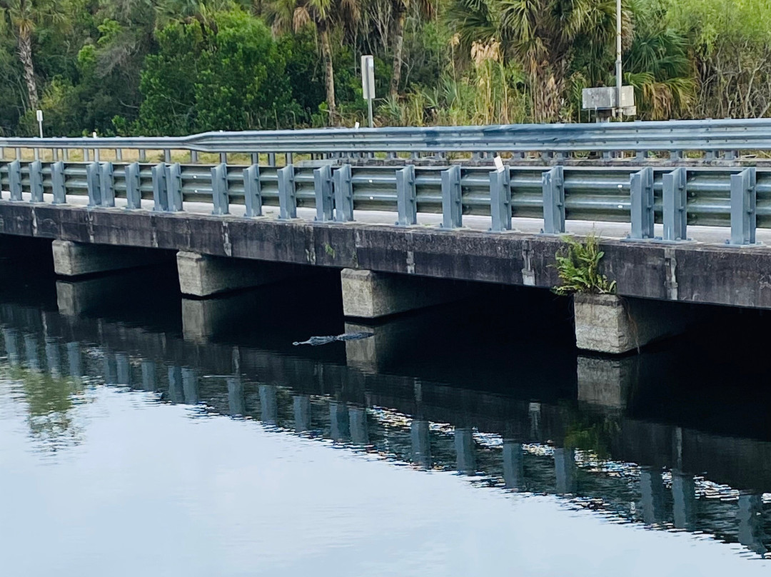 H.P. Williams Roadside Park-奥乔皮必去景点