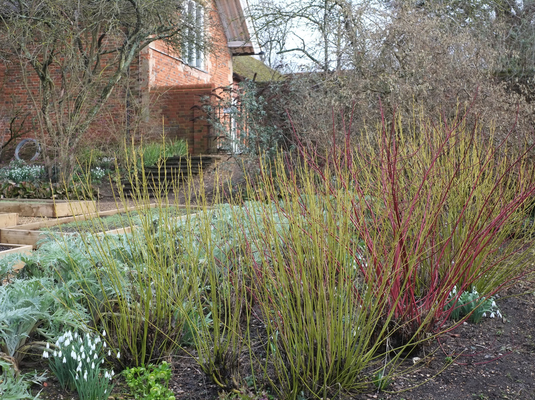 Benington Lordship Gardens景点图片
