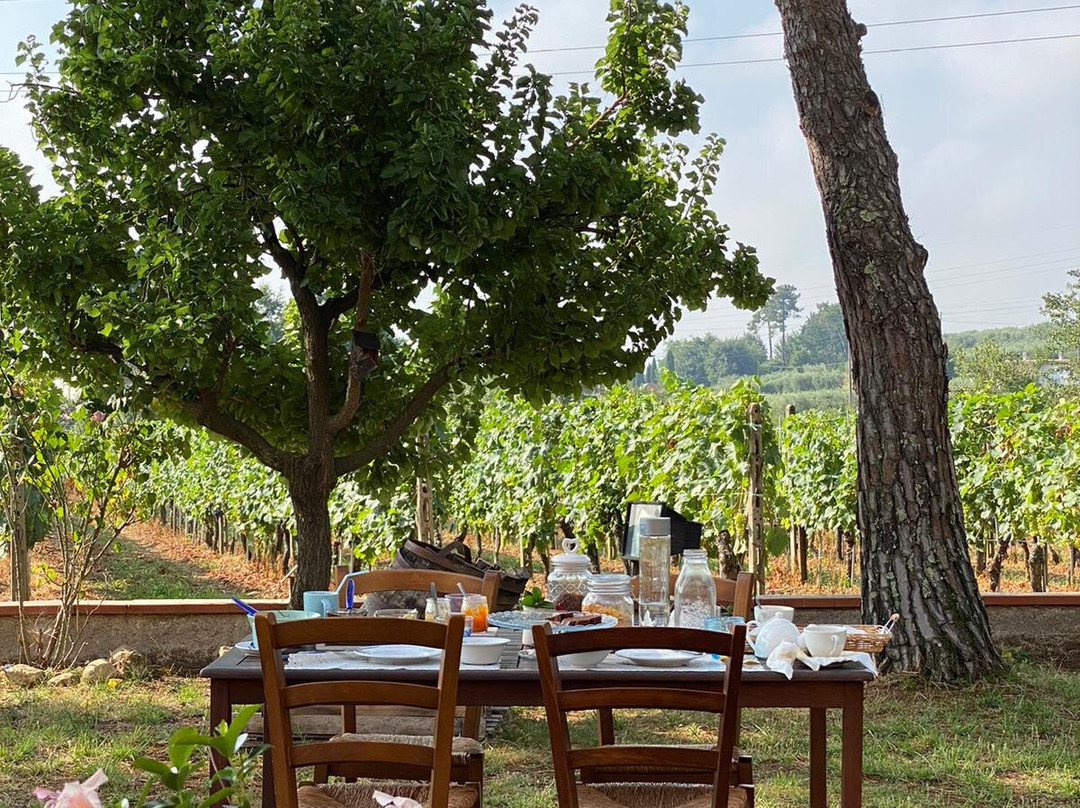 Locanda il Fornello主图