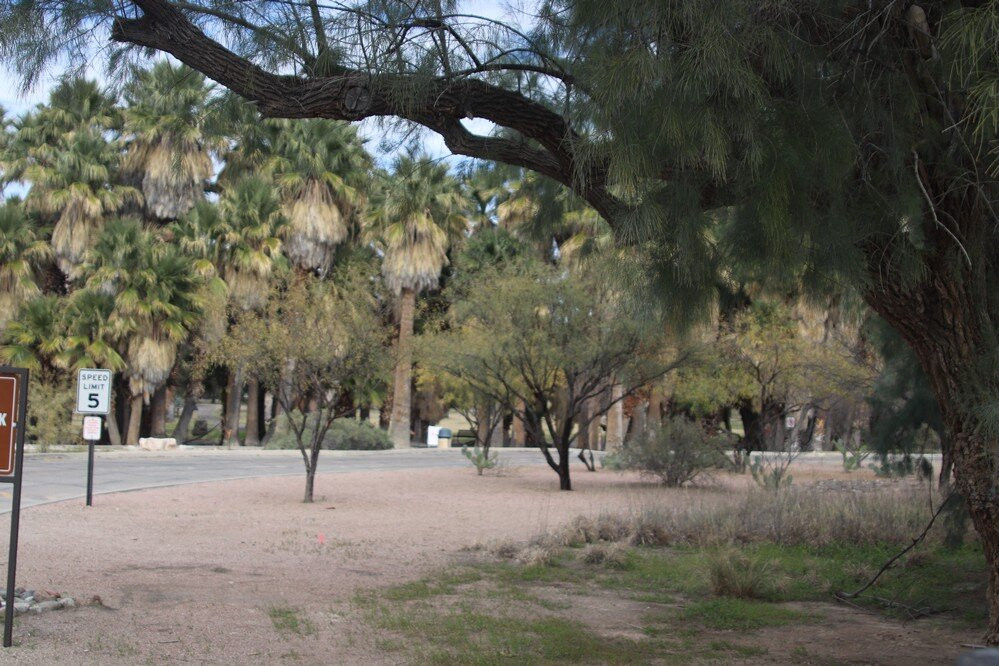 Agua Caliente Park景点图片