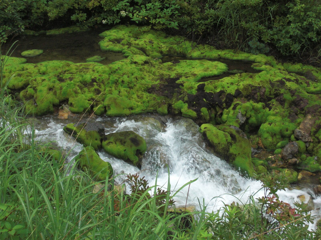 Chatsubomigoke Park-中之条町必去景点