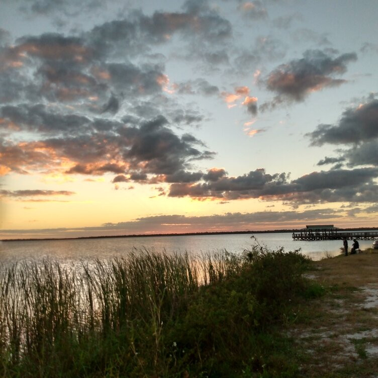 Airboats and Alligators at Lake Trafford Marina-Immokalee必去景点