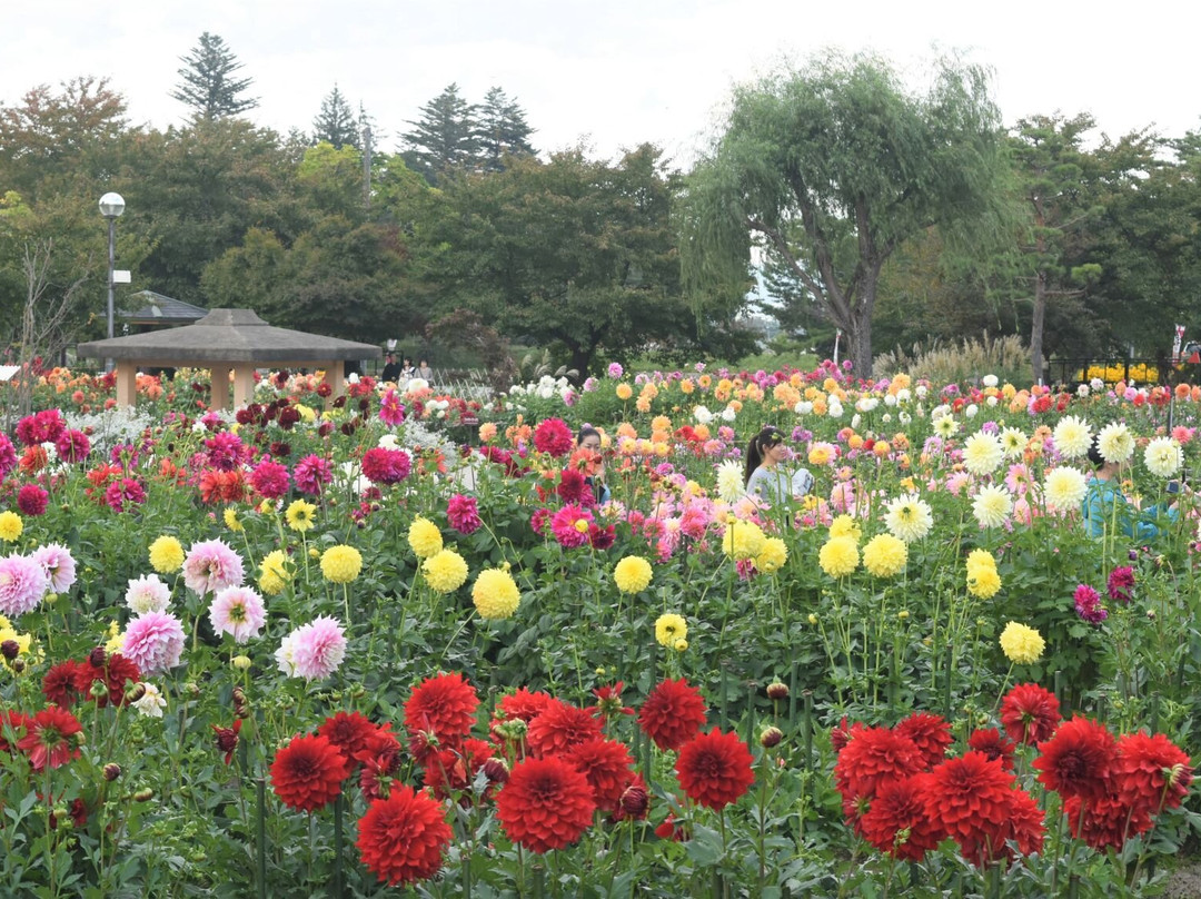 Yamagata Kawanishi Dariya Garden景点图片