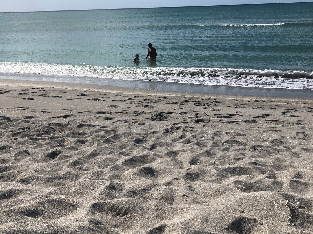 Siesta Key Bike and Kayak-西耶斯塔岛必去景点