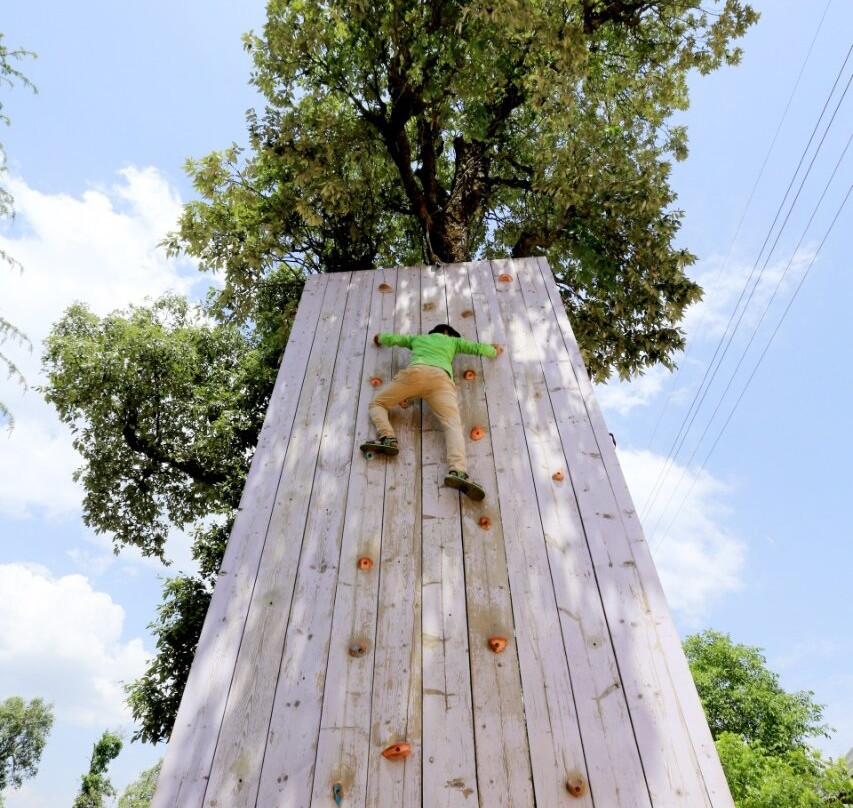 Hotel JungleLivinn主图