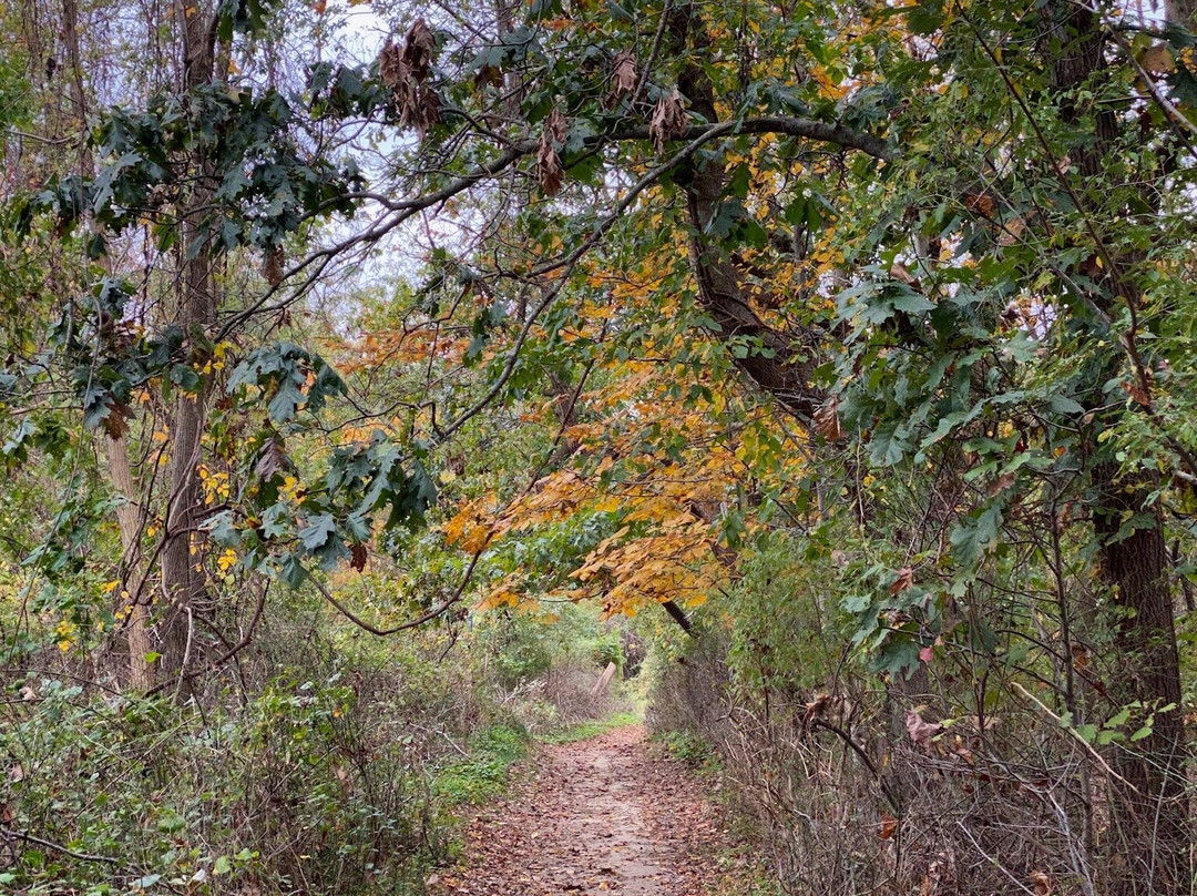 Avalon Park & Preserve-Stony Brook必去景点