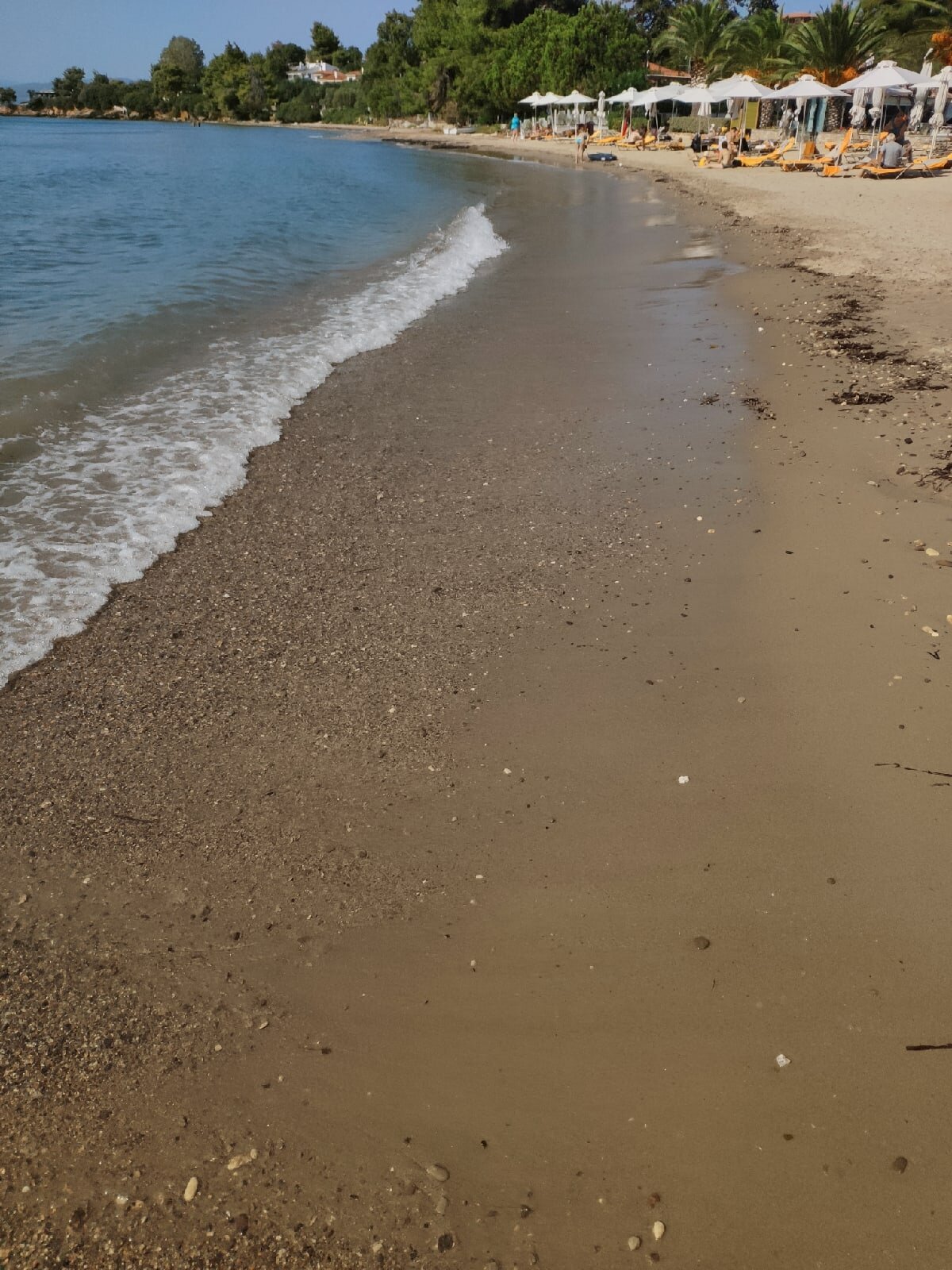 Anthemus Sea Beach Hotel & Spa-泳池