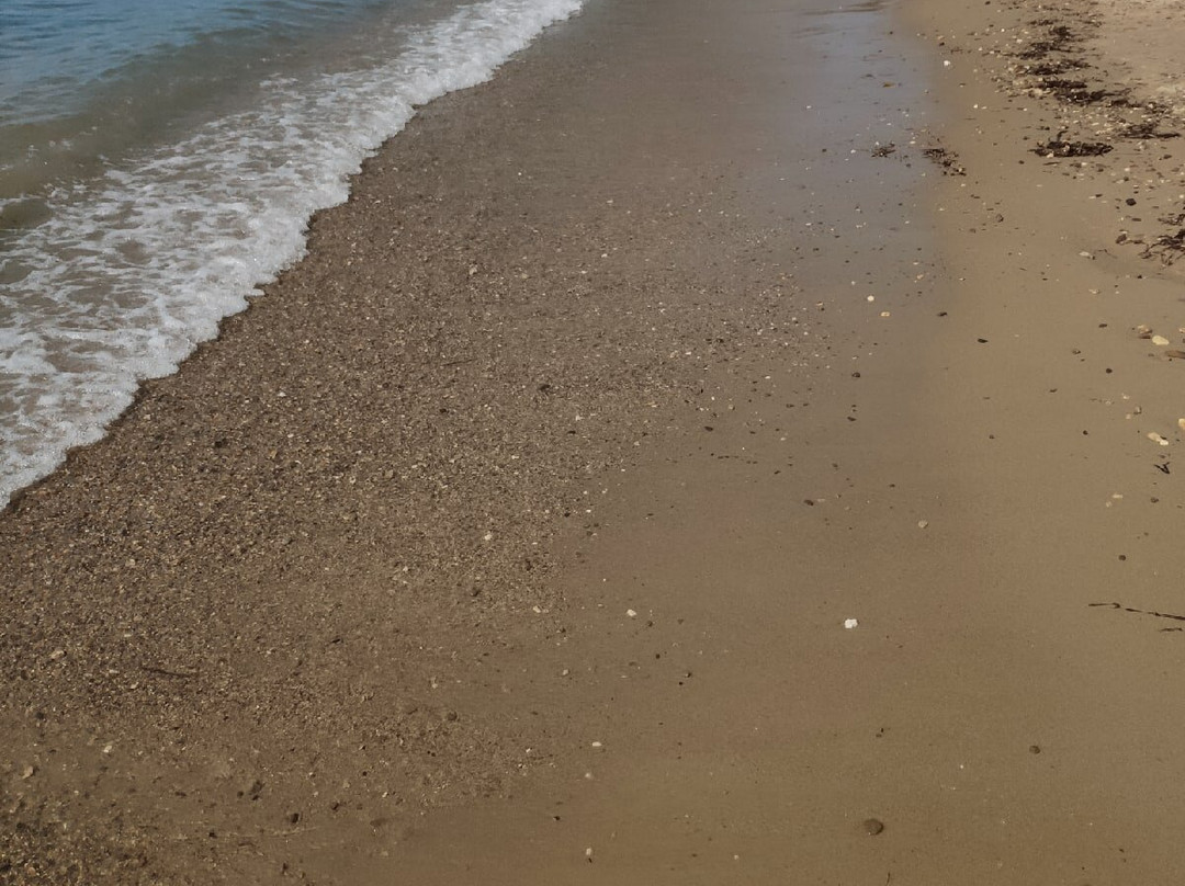 Anthemus Sea Beach Hotel & Spa主图