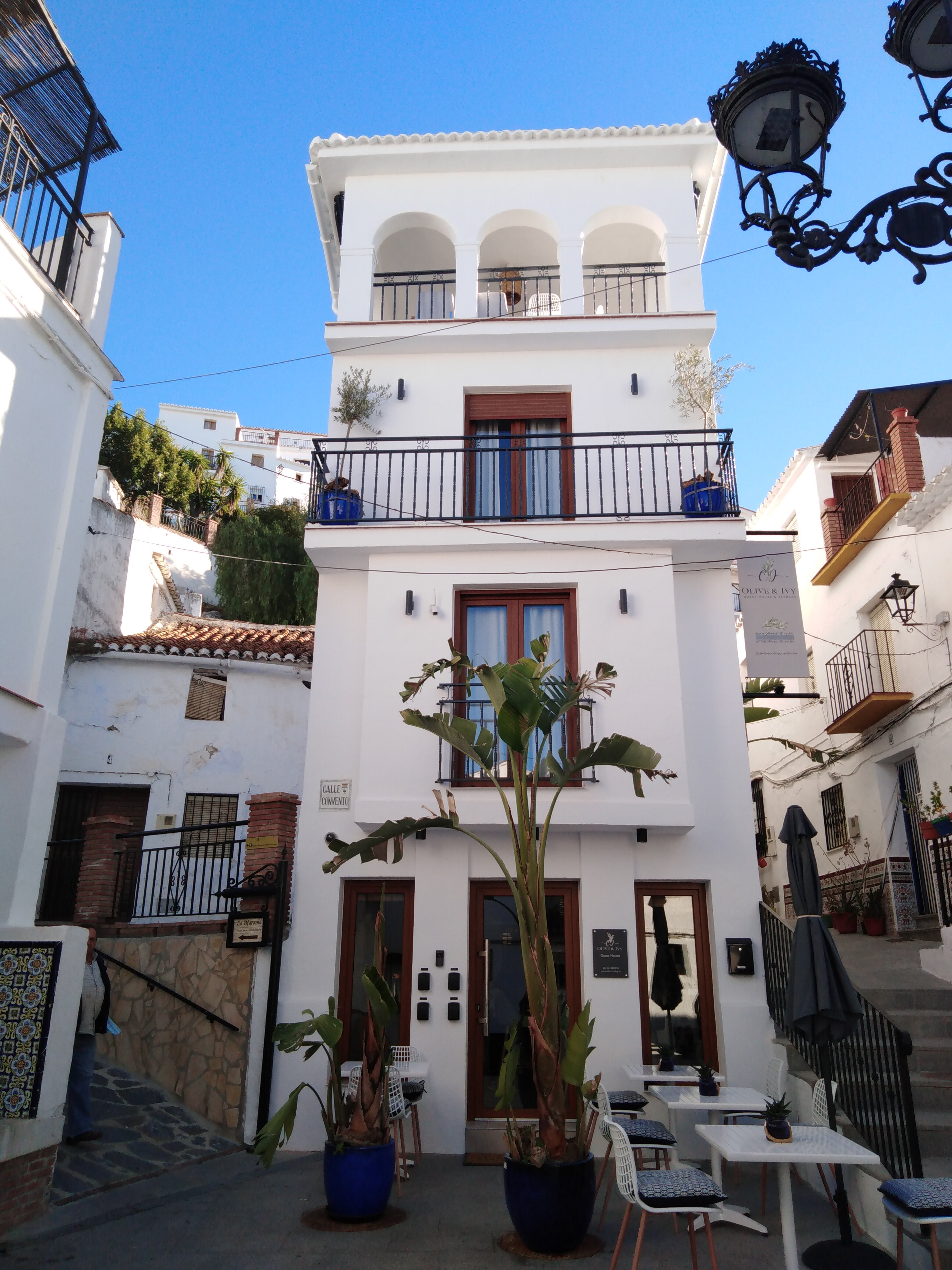 Olive & Ivy Guest House-浴室