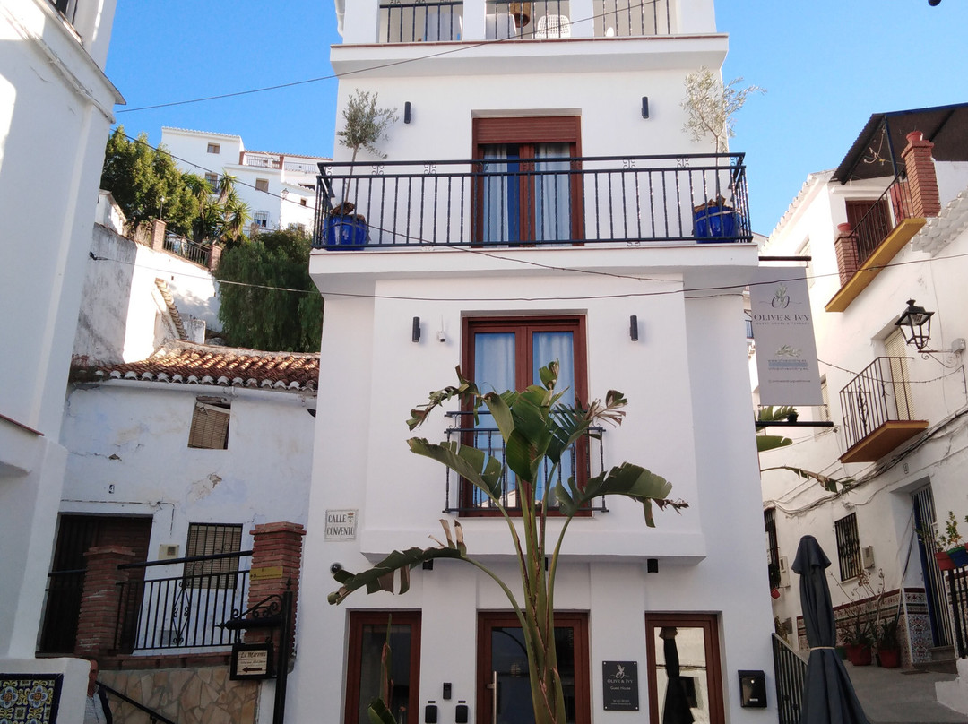 Olive & Ivy Guest House主图