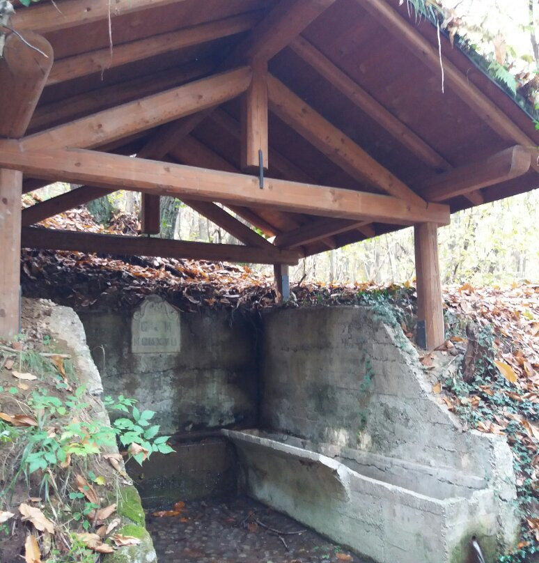 Parco Spina verde-科莫必去景点