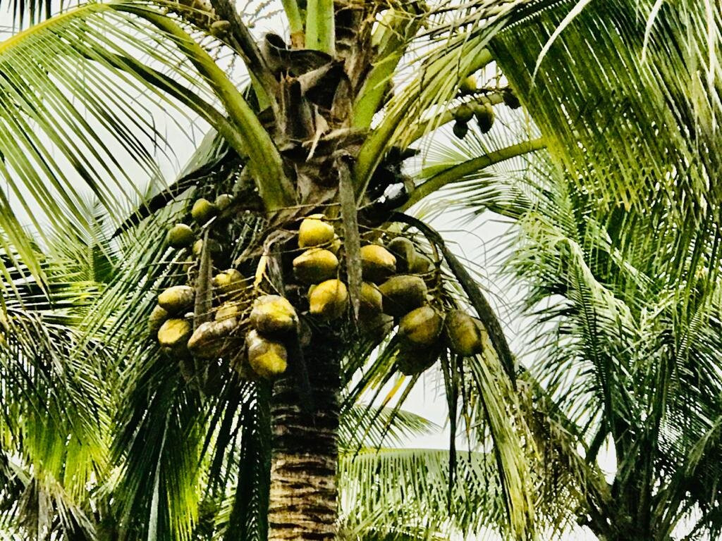 Green Echo Tourism Park主图